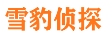 额敏市场调查